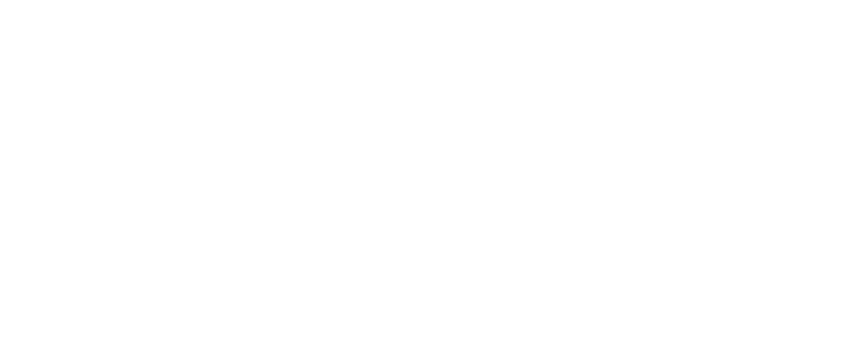 HOLNY travel